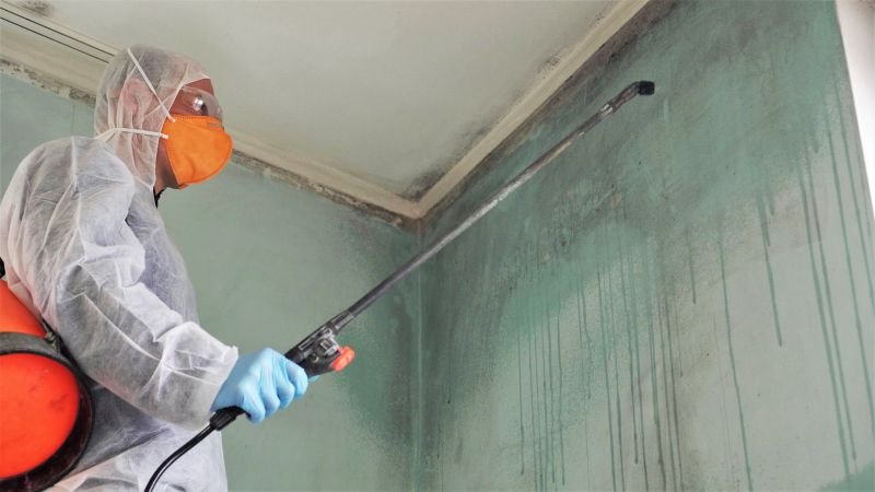 Mold Restoration in Fort Worth, TX