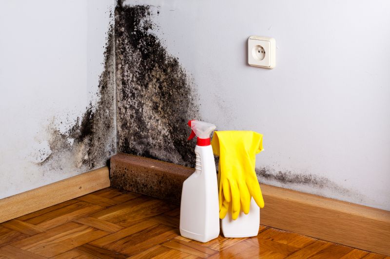 White Mold Mitigation in Fort Worth, TX