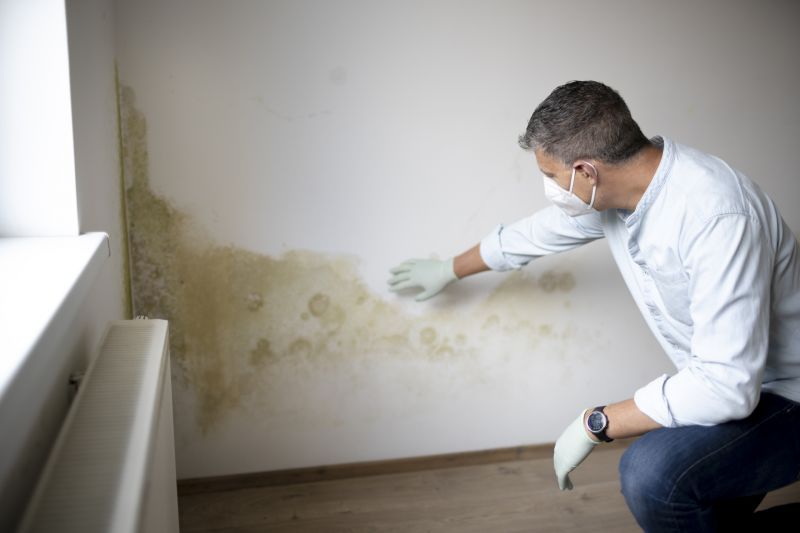 Type of Mold Concerns