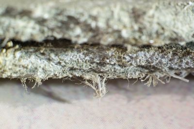 Asbestos Removal in Somerset County, NJ