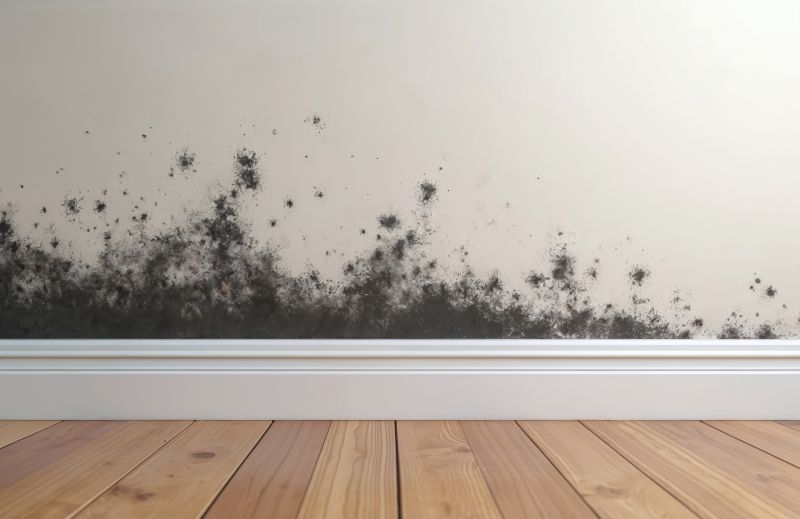 Black Mold Remediation in Broward County, FL