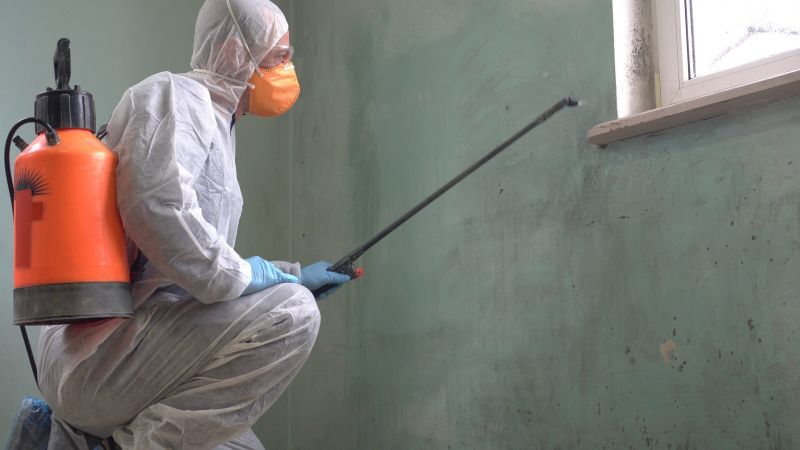 Mold Abatement in Palm Beach County, FL