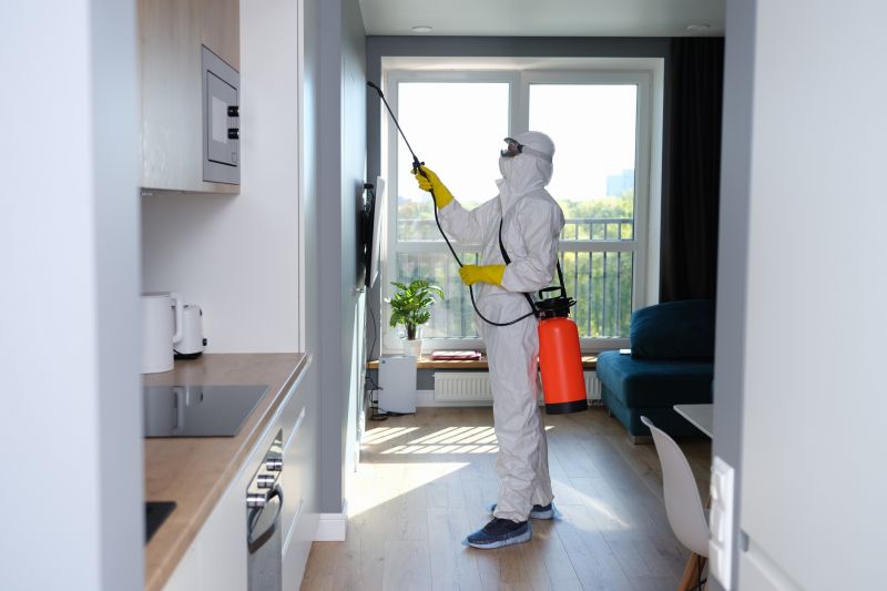 Mold Cleanup Service in West Palm Beach, FL