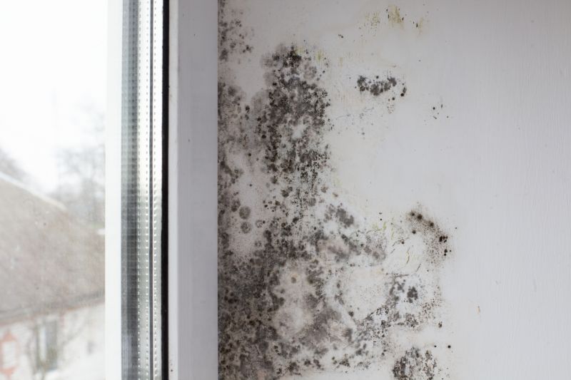 Water Damage and Mold