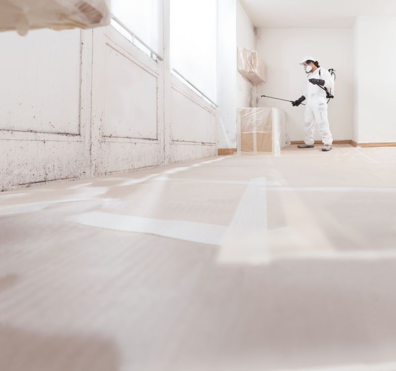 Mold Remediation Service in Fort Lauderdale, FL