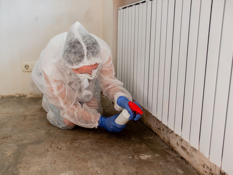 Mold Treatment Service in Boca Raton, FL