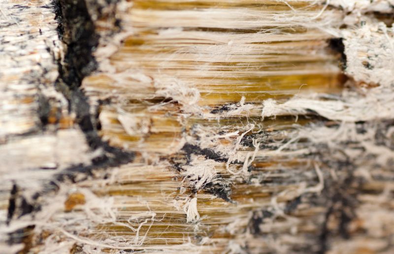 Vermiculite Removal Service in Old Bridge, NJ