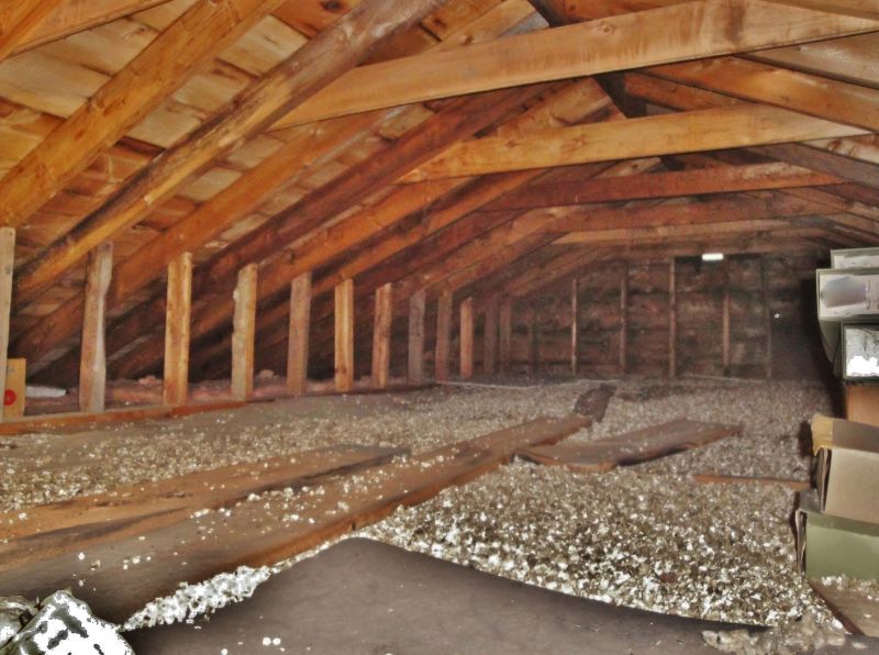 Vermiculite Removal Service in Freehold, NJ