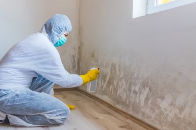 White Mold Mitigation in Fort Worth, TX