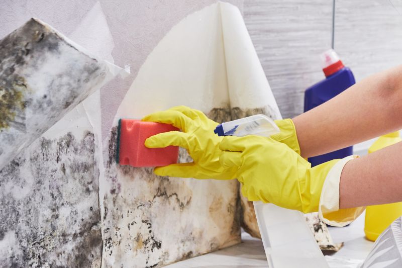 White Mold Mitigation in Jupiter, FL